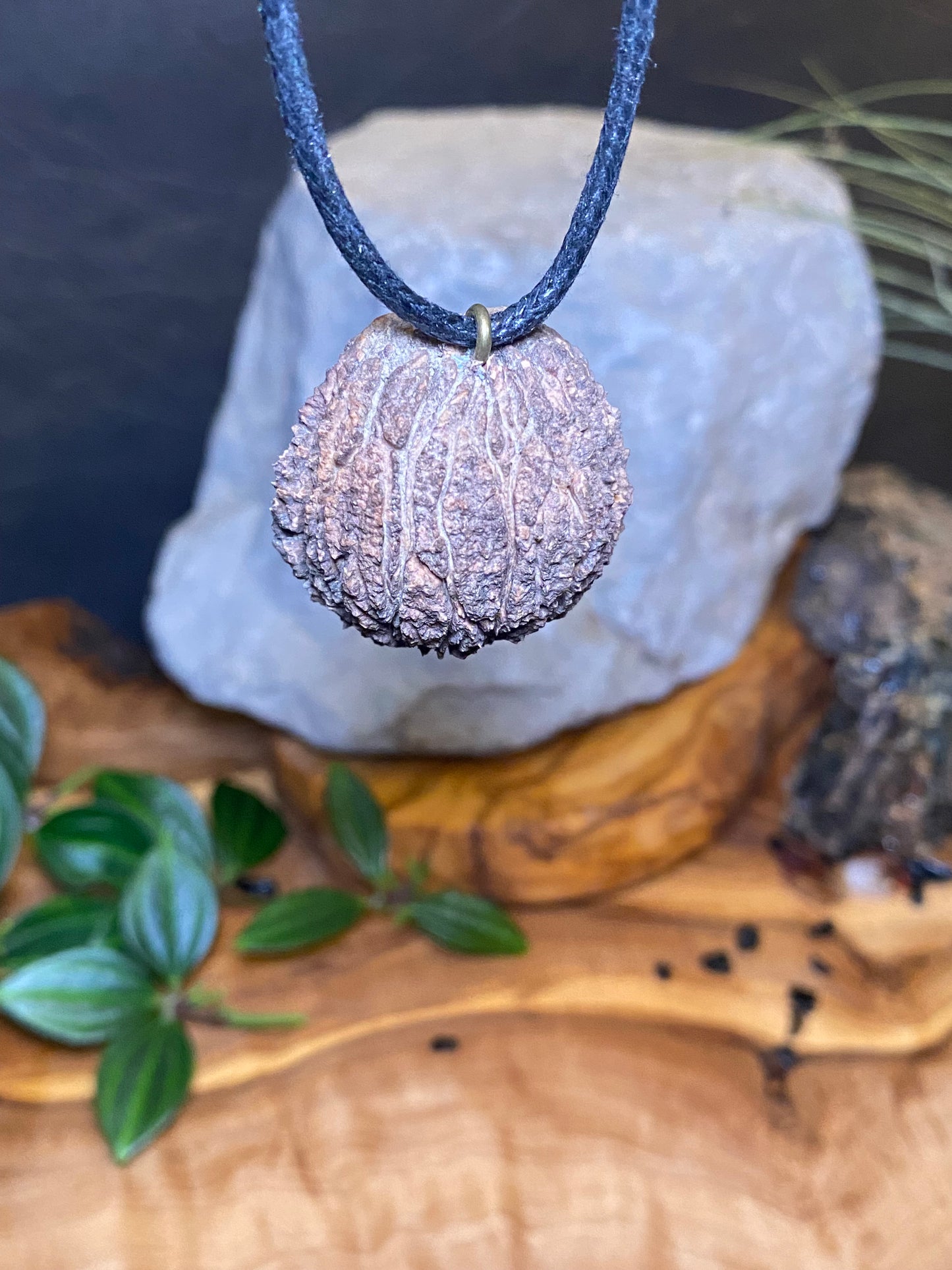 Black Walnut Necklace