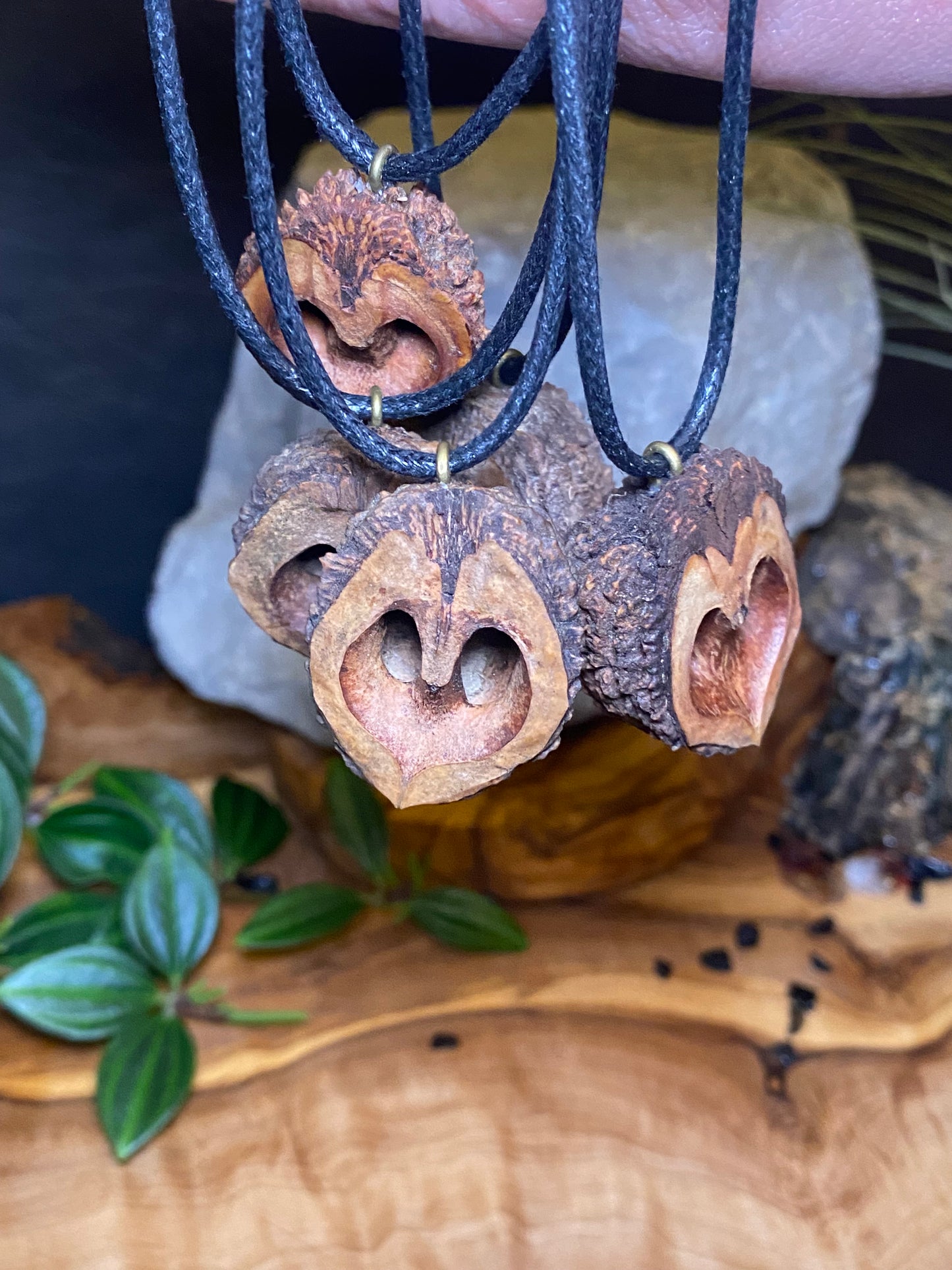 Black Walnut Necklace