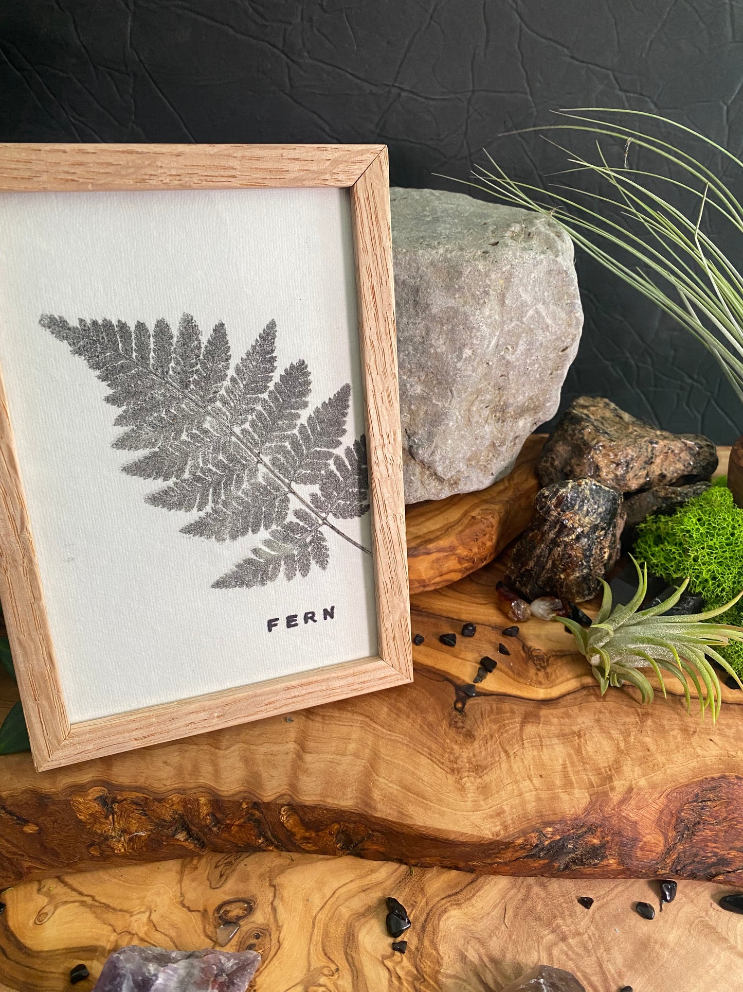 Framed Fern Print -4x6 Oak Frame