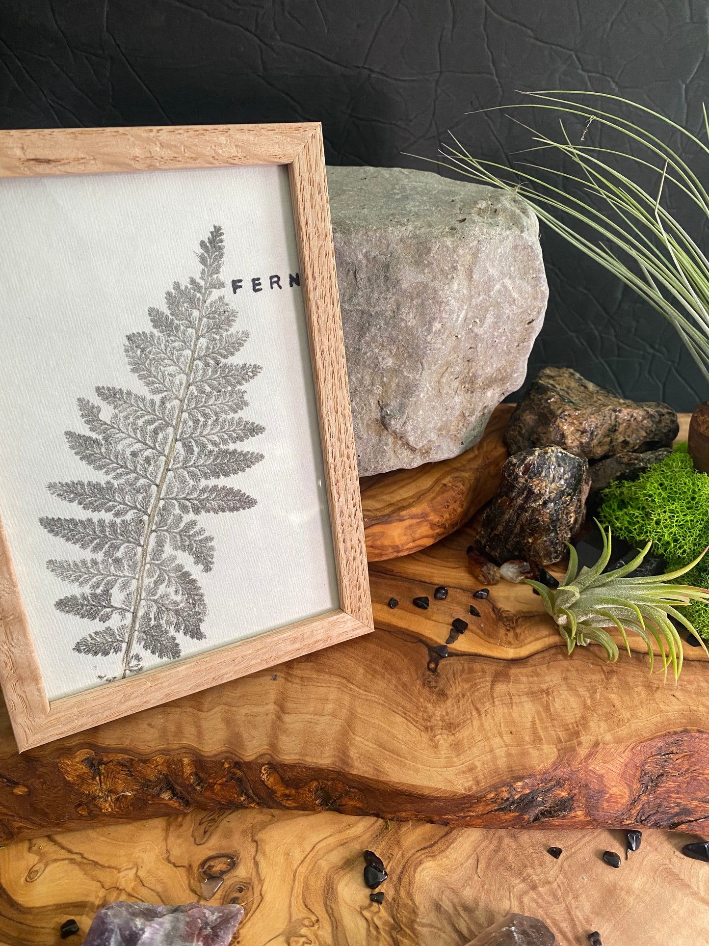 Framed Fern Print -4x6 Oak Frame