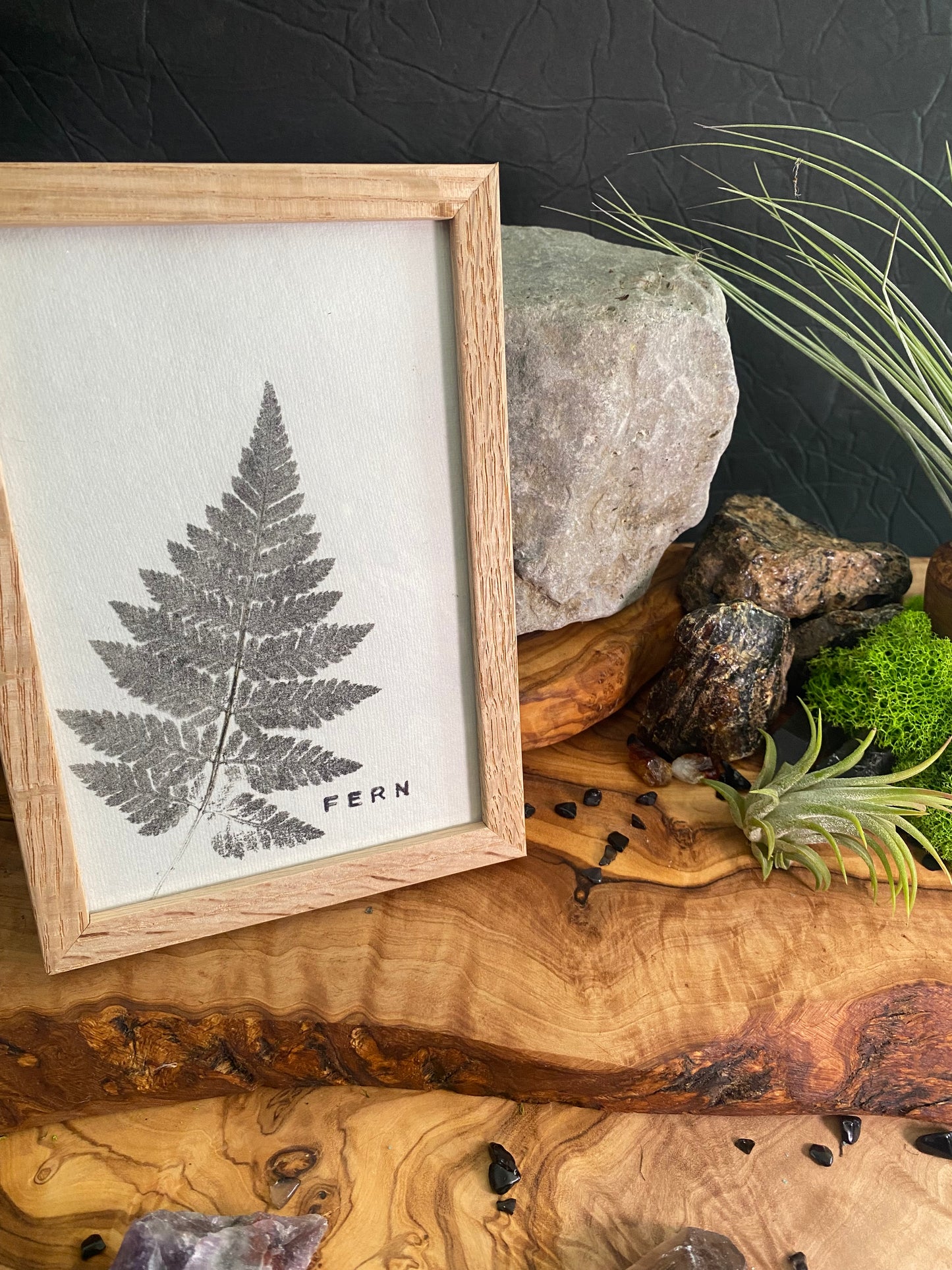 Framed Fern Print -4x6 Oak Frame