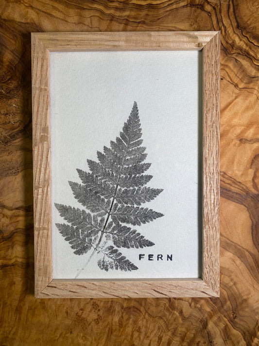 Framed Fern Print -4x6 Oak Frame