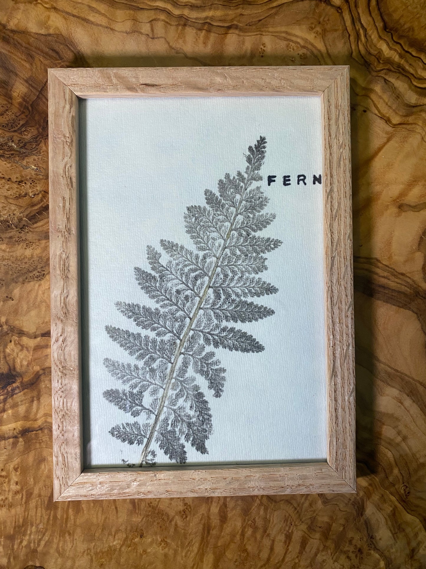 Framed Fern Print -4x6 Oak Frame