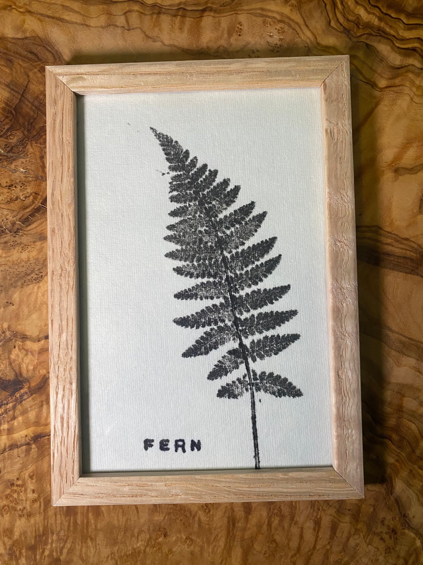 Framed Fern Print -4x6 Oak Frame