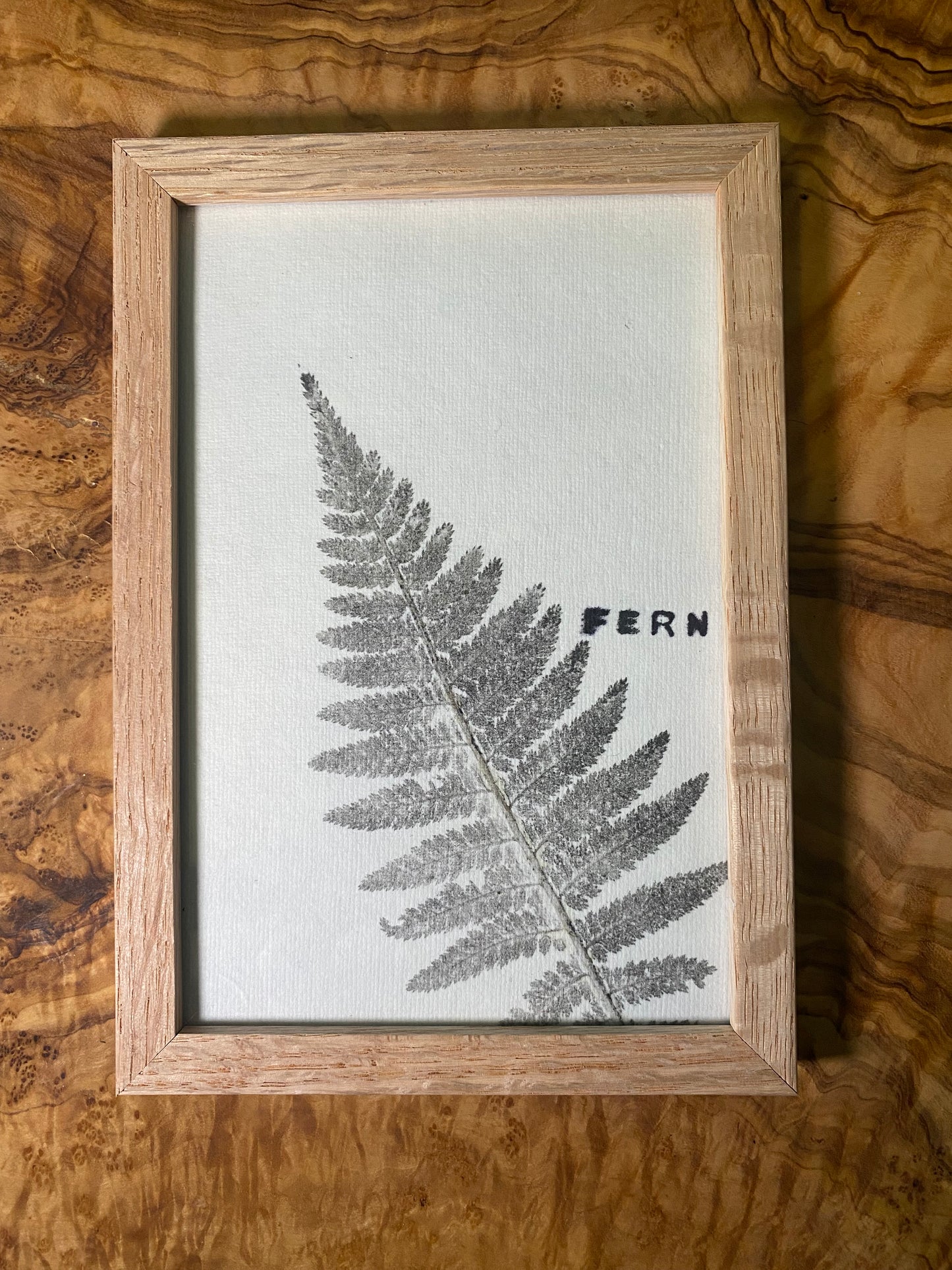 Framed Fern Print -4x6 Oak Frame