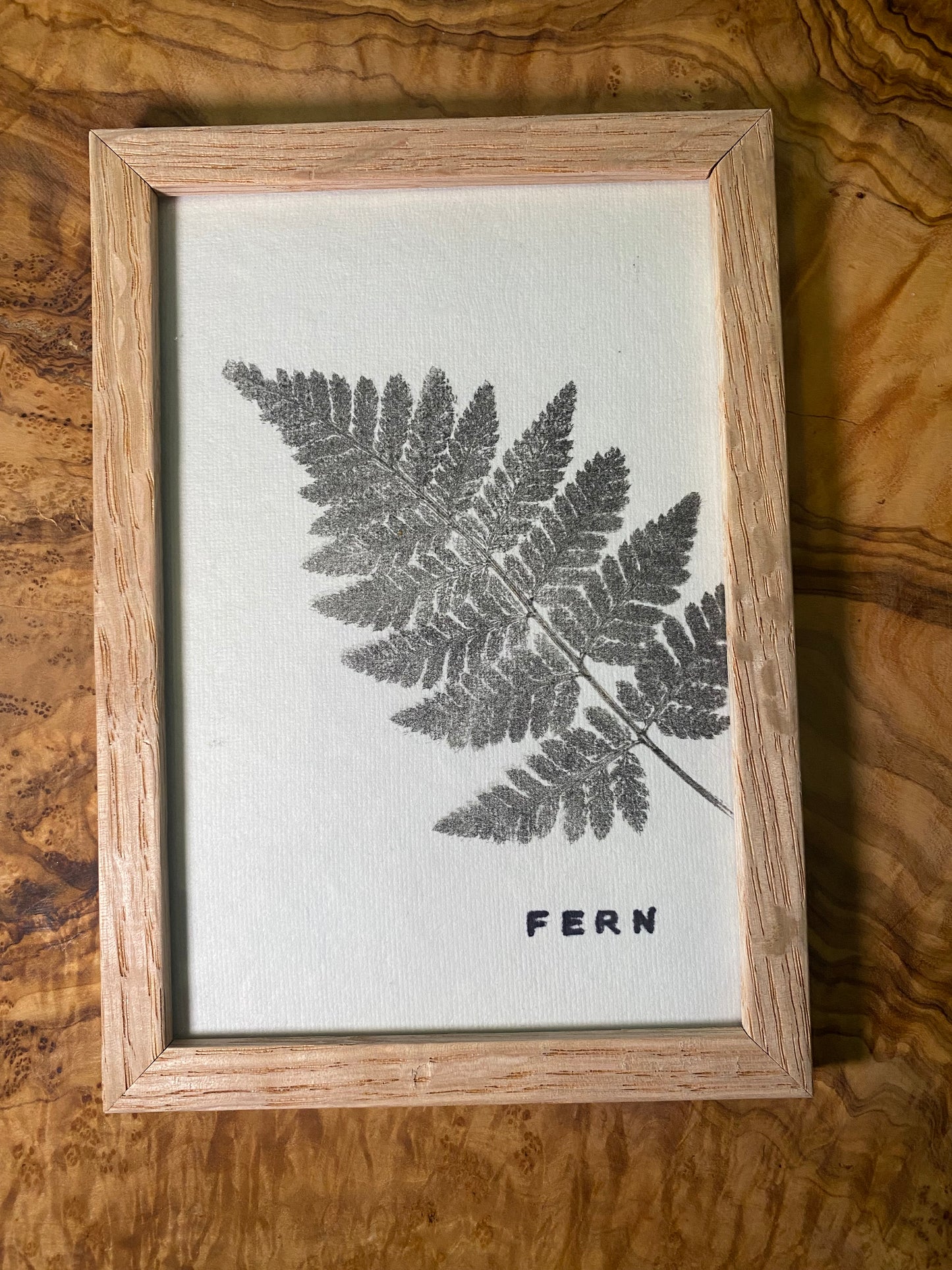 Framed Fern Print -4x6 Oak Frame
