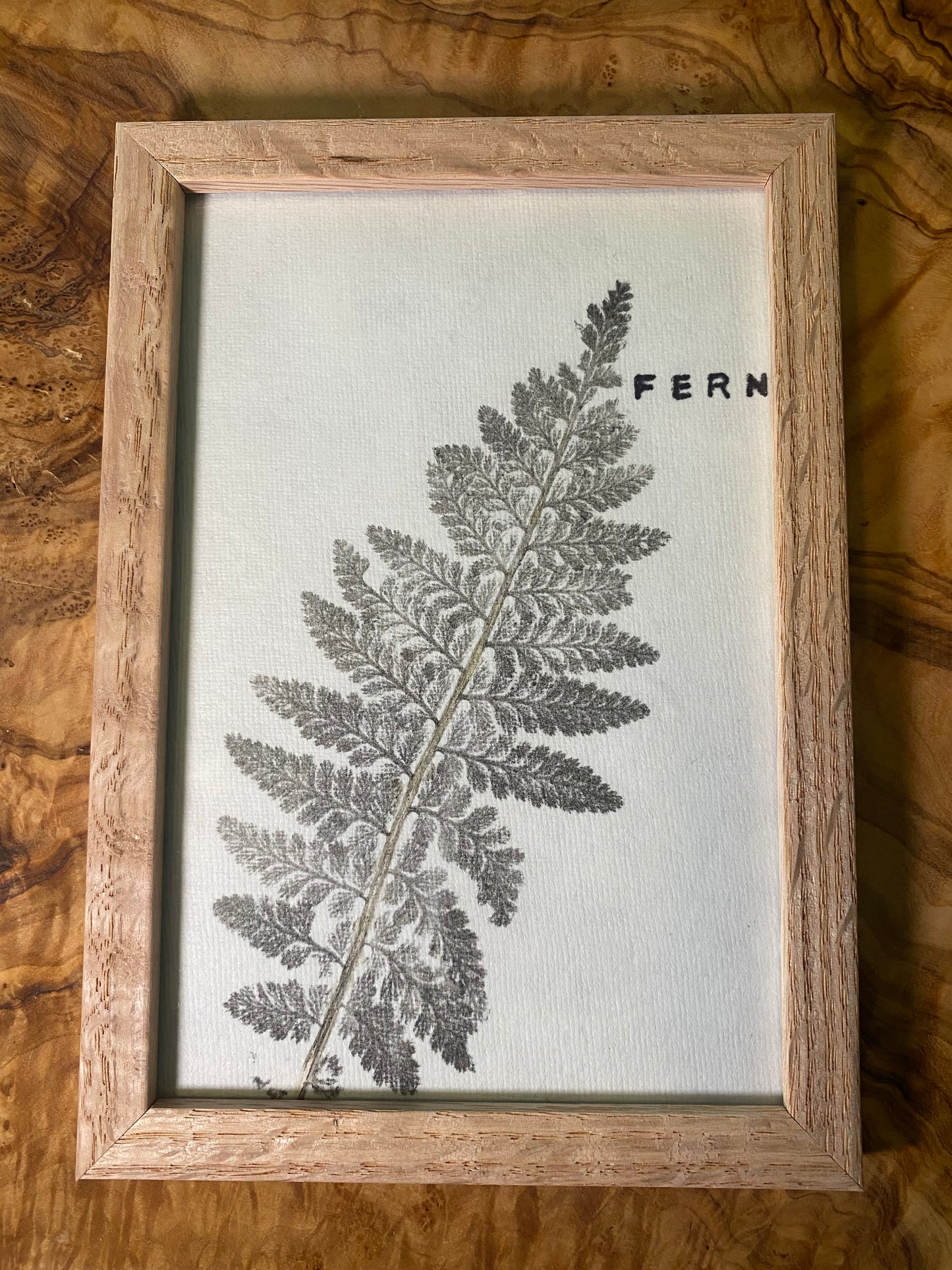 Framed Fern Print -4x6 Oak Frame